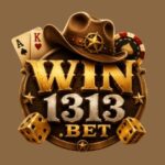 WIN1313 Game